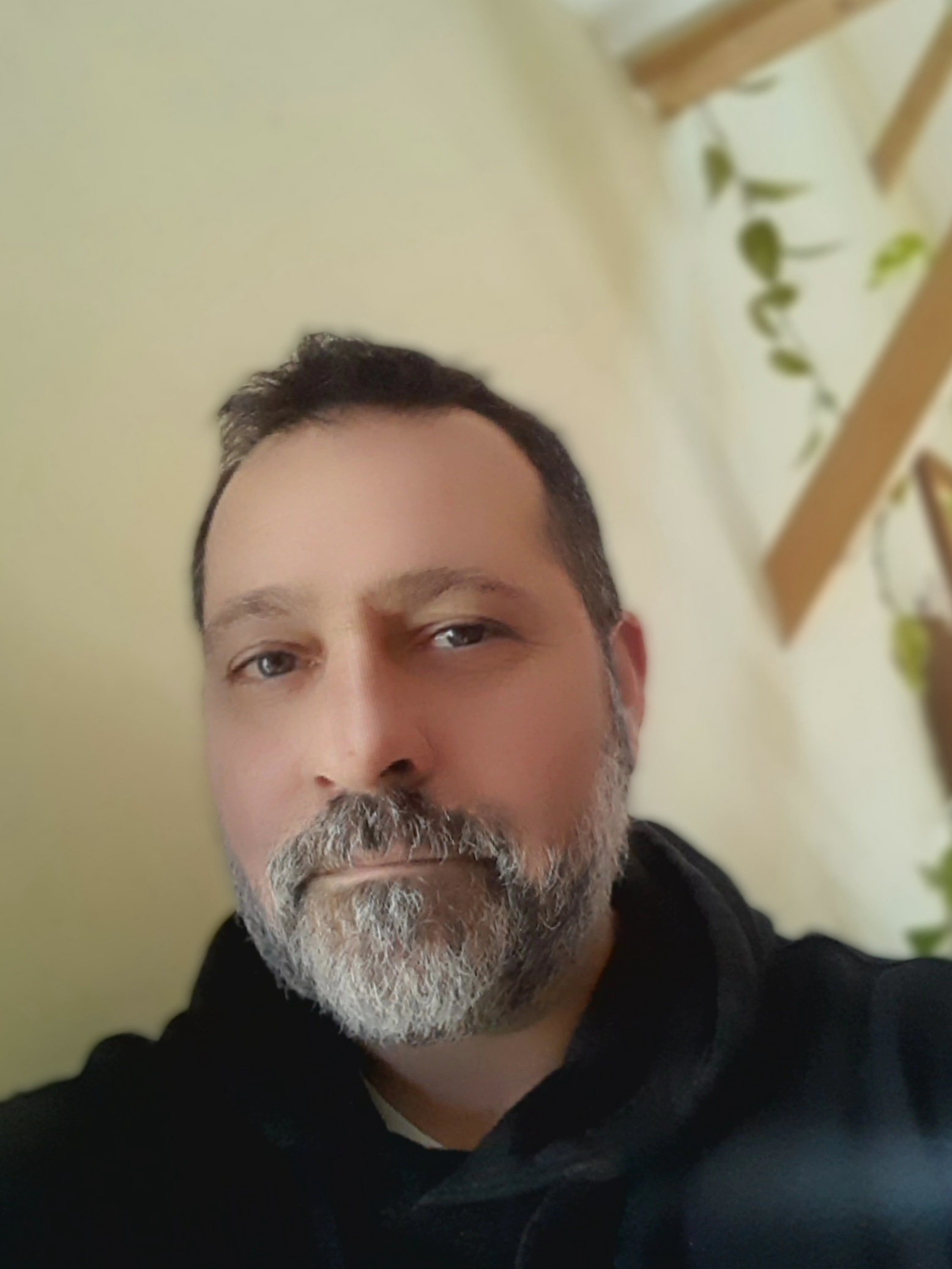 Fabien